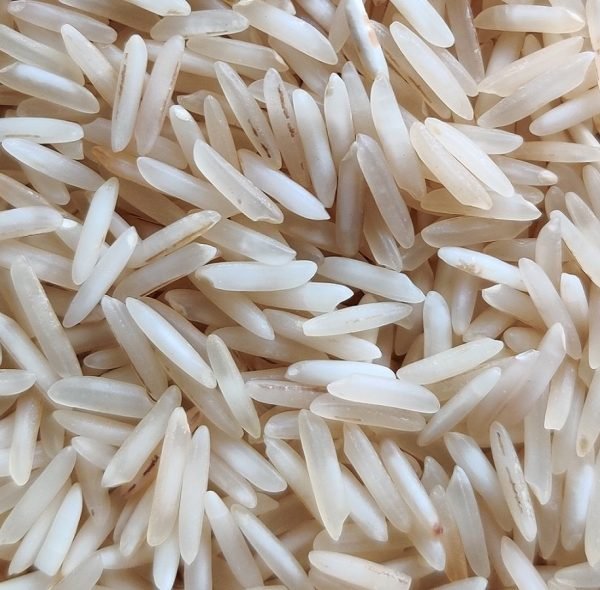 1509 Raw Basmati Rice