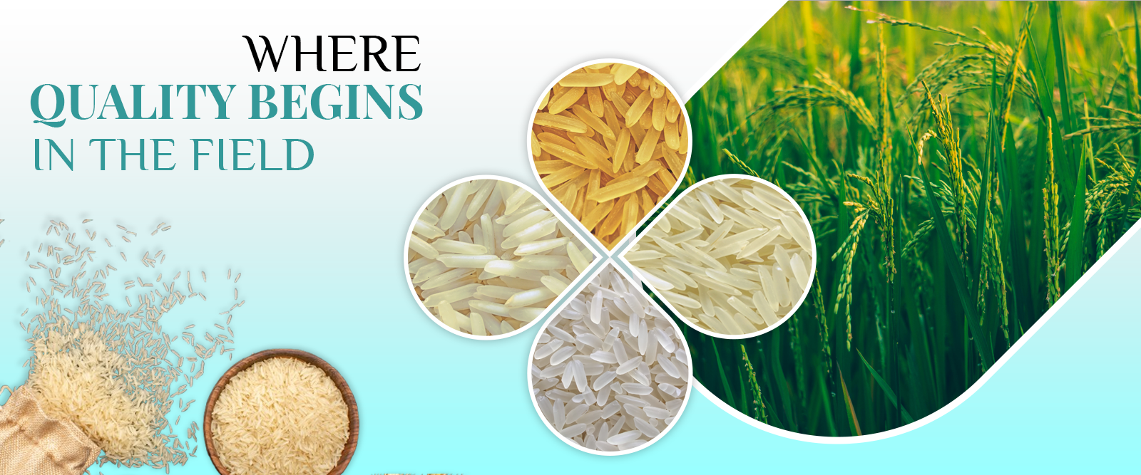 Home 7 Variety of Indiafeast Basmati Rice.